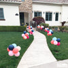 birthday-surprise-topiary-walkway-utah-balloons