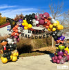 halloween-celebration-utah-balloons