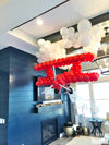airplane-birthday-party-utah-balloons