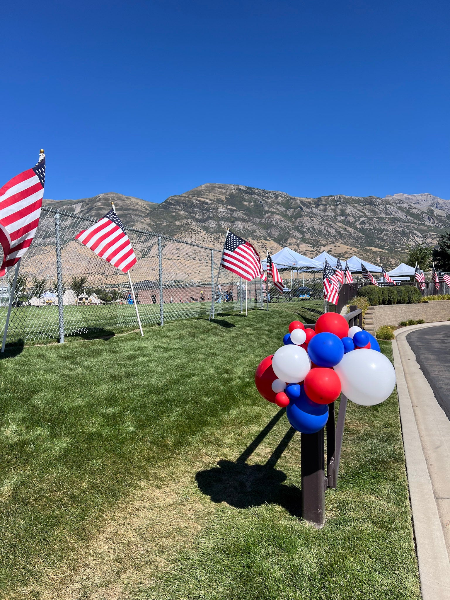 A bunch of balloons in front of a group of American flags for Veterans Day Alumni Celebration