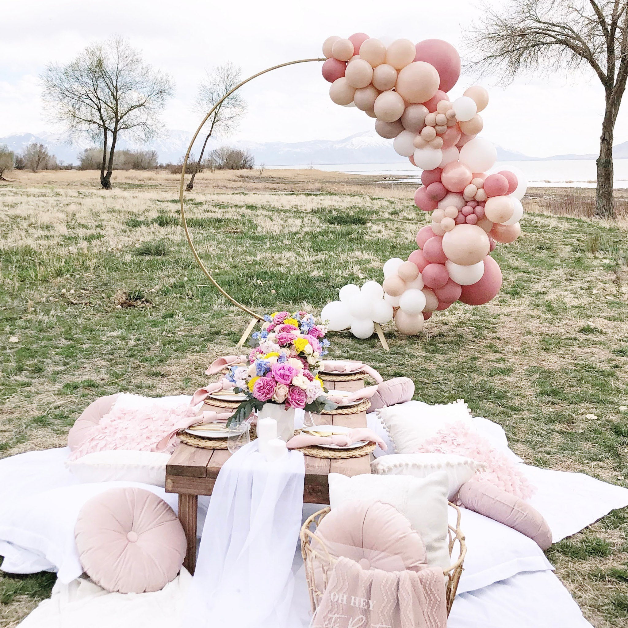 Neutral pink balloon garland at an outdoor picnic