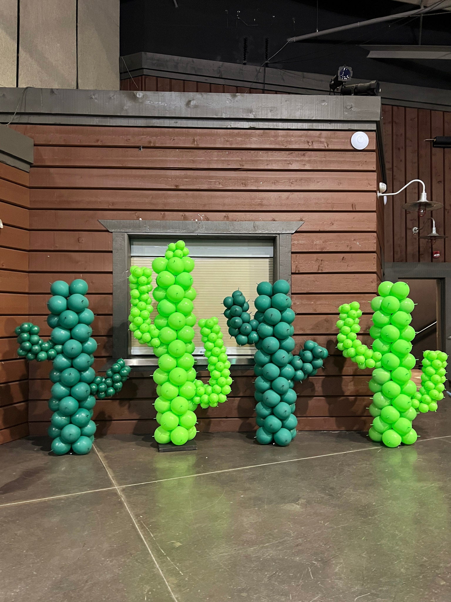 Balloon cacti sculptures in green and teal against a wooden wall.