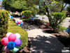 pathway-decor-birthday-celebration-utah-balloons